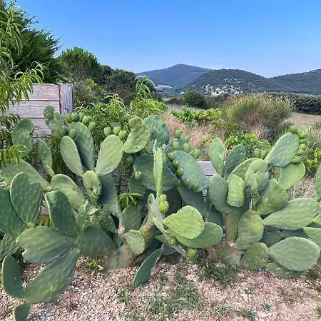 La Bastide De Grosille Savasse