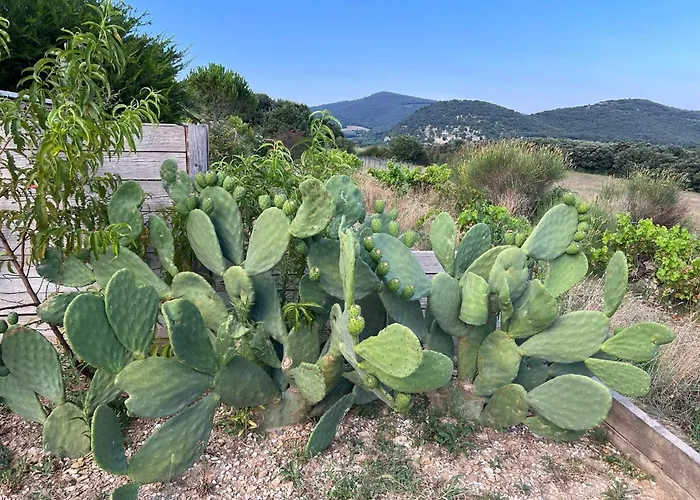 La Bastide De Grosille Savasse
