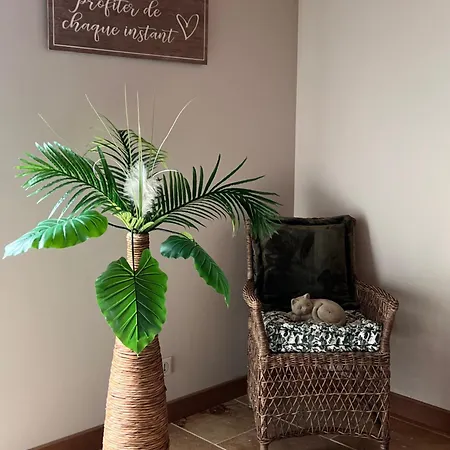 Bed & Breakfast La Bastide De Grosille Savasse