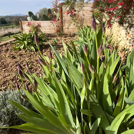 La Bastide De Grosille Bed & Breakfast *