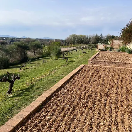 Bed & Breakfast La Bastide De Grosille Savasse