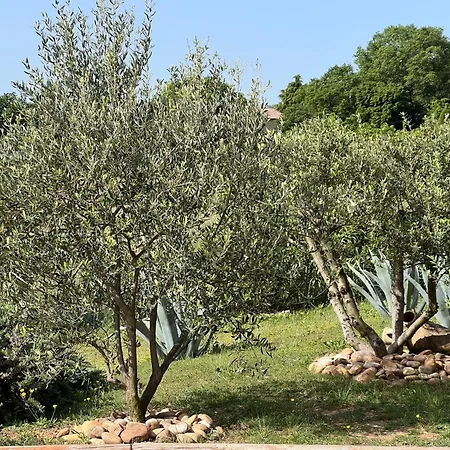 La Bastide De Grosille * Savasse