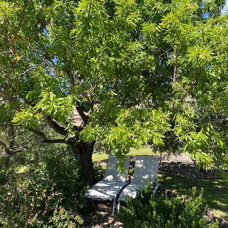 La Bastide De Grosille