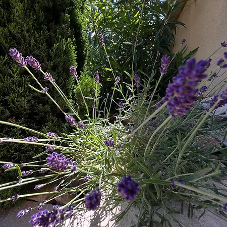 La Bastide De Grosille Bed & Breakfast