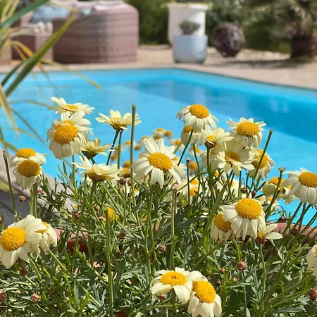 Bed & Breakfast La Bastide De Grosille